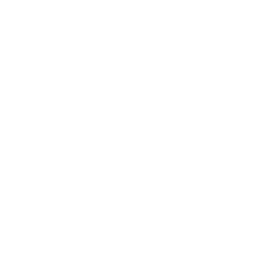 car (1)